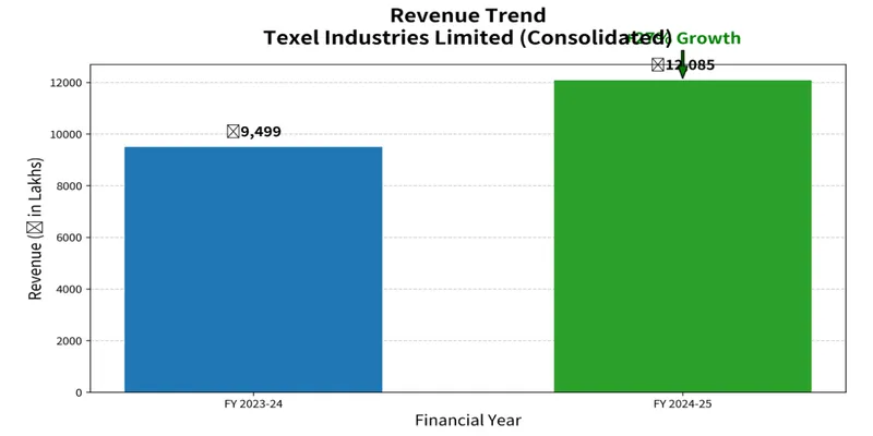 “ Analyse Financial Performance Of Texel Industries Limited”